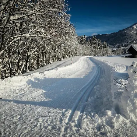 Vasilico Appartement *