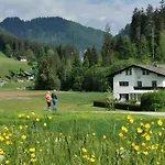 Vasilico ゼル