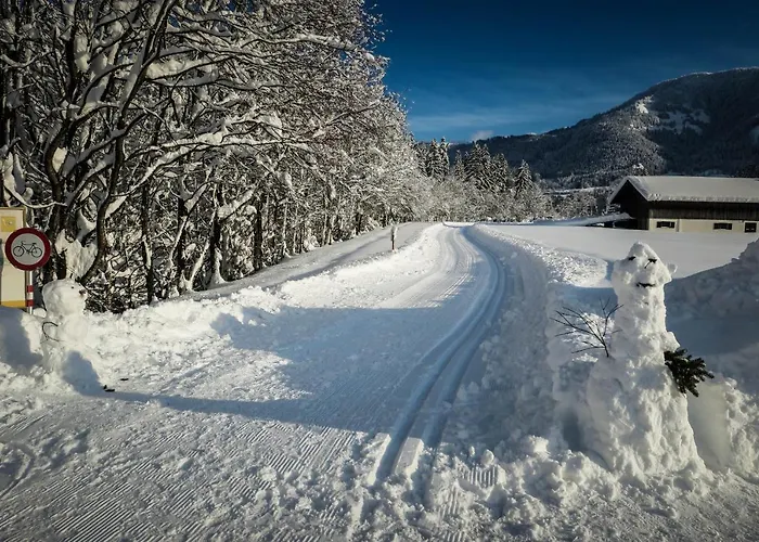 Vasilico Lejlighed *